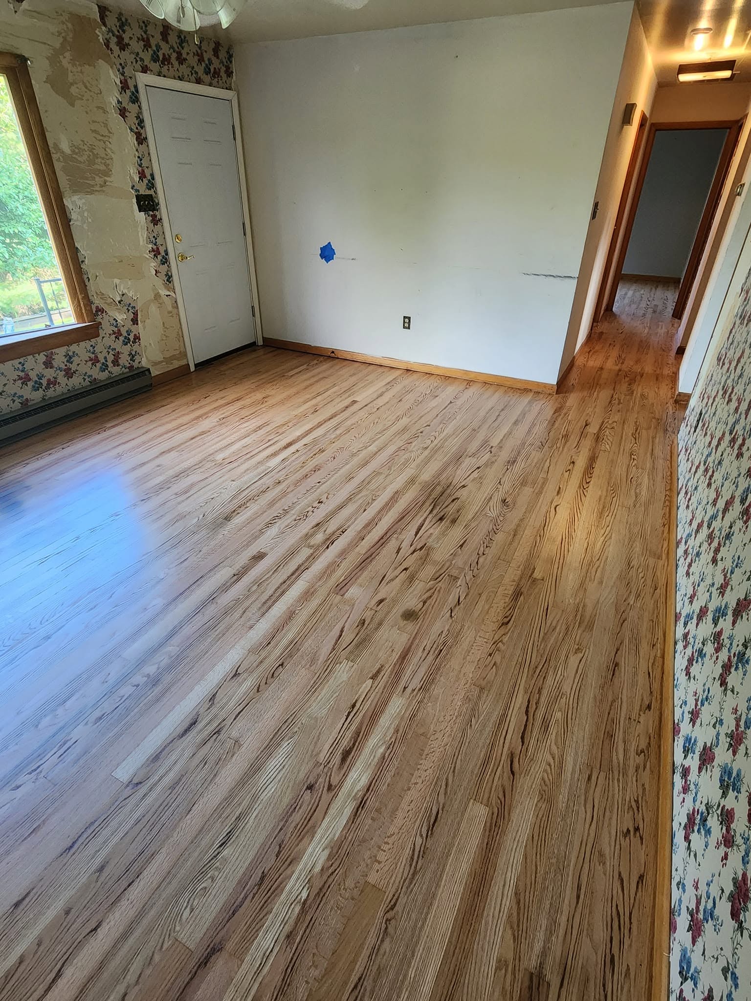 Warm natural hardwood floor refinished with visible grain and soft light