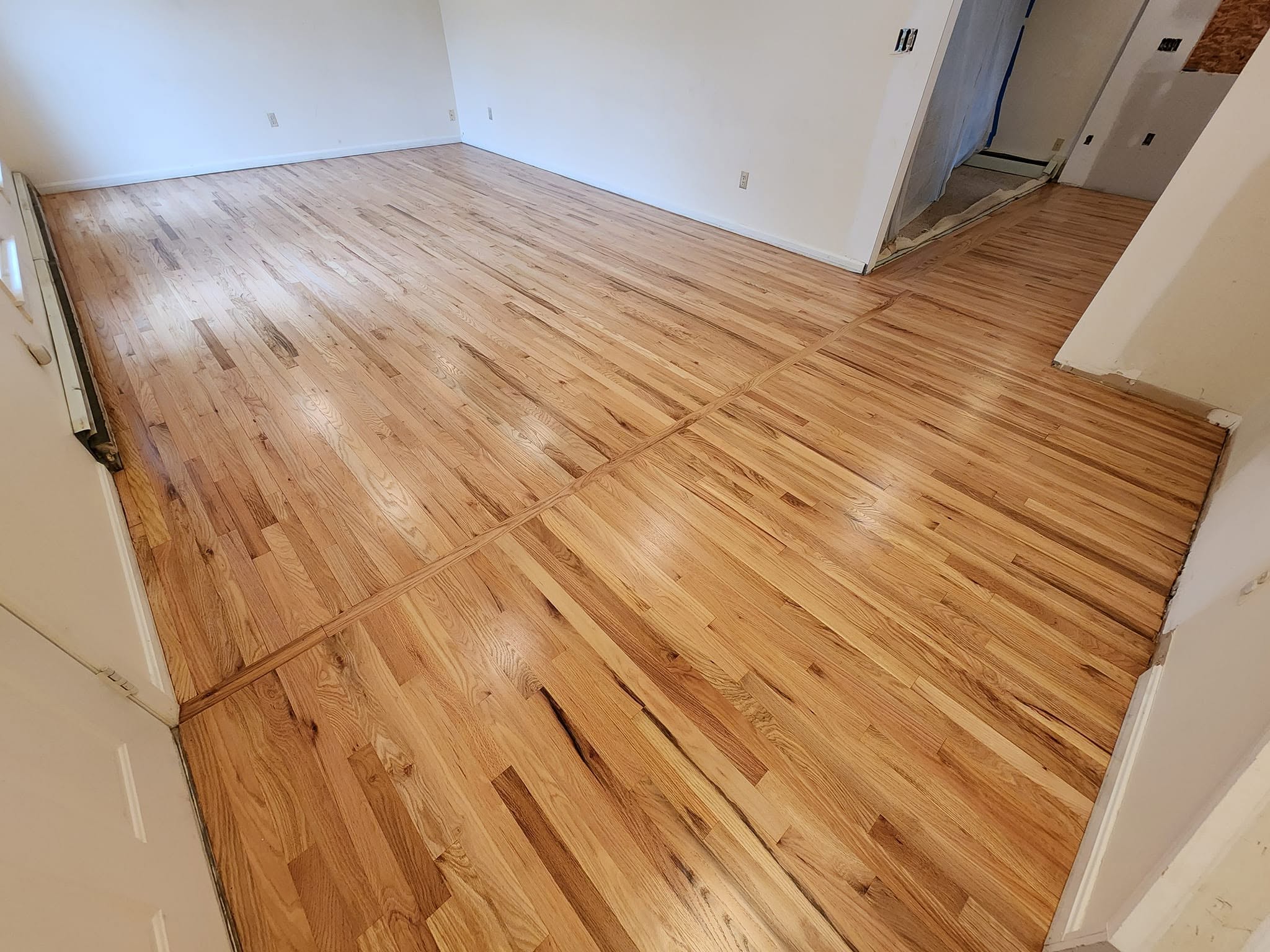 Sunlit hardwood floor detail showing clean grain and finish quality